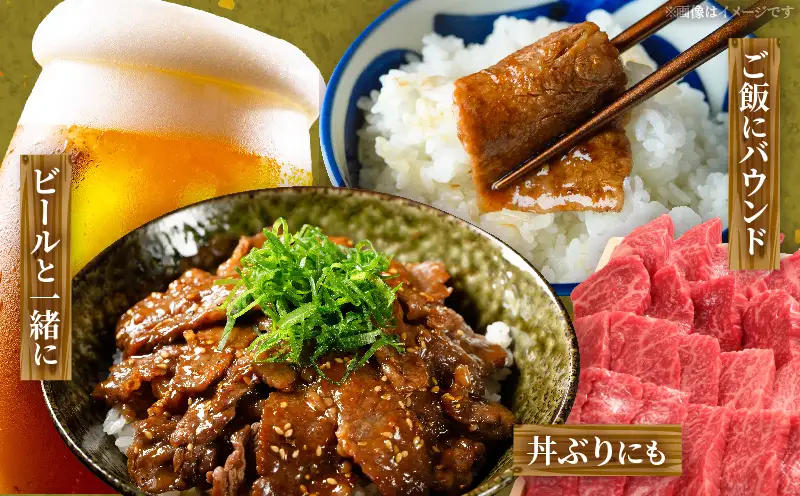 宮崎牛赤身（ウデ・モモ）焼肉 500g