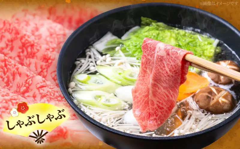 宮崎牛肩ロース すき焼き・しゃぶしゃぶ用 500g