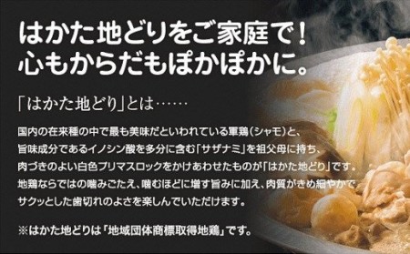 はかた地どり水炊きセット（2～3人前×2回分）おもむき屋[H4301]