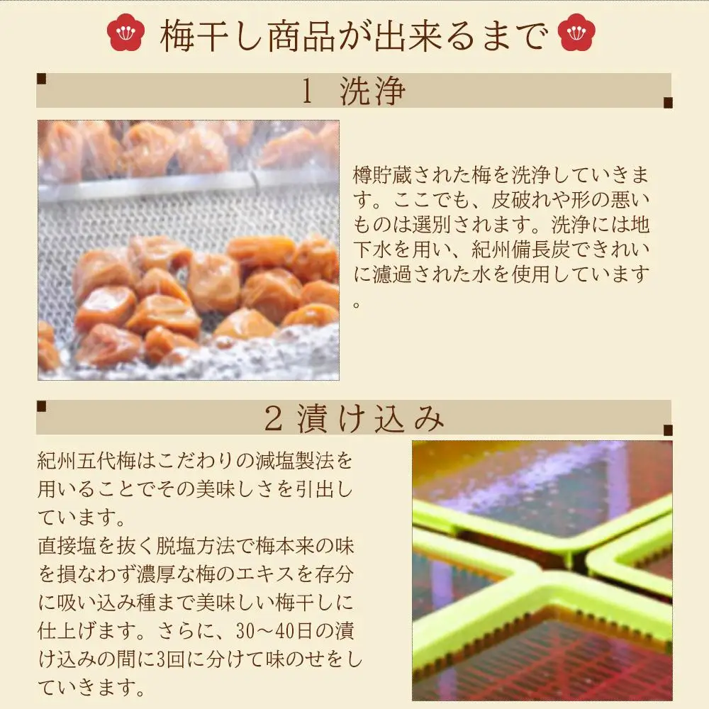 丙申年の梅　１粒　１箱（みなべ町）