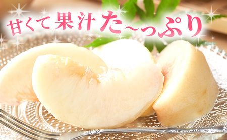 【 2026年 先行予約】 桃 岡山県産 日川 白鳳 （白桃） 約1.5kg（5～7玉） 《2026年6月下旬-7月上旬頃出荷》  白桃 岡山 スイーツ フルーツ 果物 先行予約 数量限定 期間限定 岡山 里庄町 