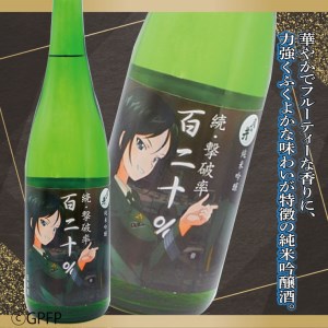 純米吟醸 続撃破率百二十％ 720ml 本醸造 720ml 2本 セット 月の井 大洗 地酒 ガルパン コラボ  茨城 ガールズ＆パンツァー_AW048