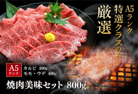近江牛 A5 ランク 焼肉 美味 セット 800g げんさん 【DG10W】【 近江牛 】 牛肉