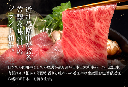 近江牛 A5 ランク 焼肉 すき焼 セット 800g げんさん 【DG11W】【 近江牛 】 牛肉すき焼き