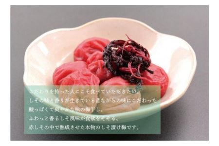 【贈答用】紀州南高梅 食べ比べセット 500g×2（しそ風味・うす味） / 梅干 梅干し 梅 南高梅 人気 大粒【inm900-4C】