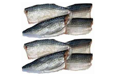 塩さばフィレ14枚入（真空パック入） / さば 鯖 おかず 冷凍 魚 切り身 焼き魚 焼魚 切身 【uot403B-1】