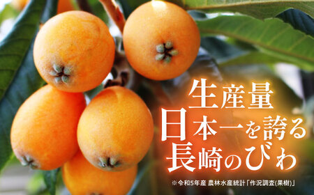 長崎びわゼリー 12個 / びわ ビワ 枇杷 ビワゼリー びわゼリー 枇杷ゼリー ゼリー / 諫早市 / 有限会社あじさい [AHAH003]  