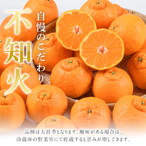 ＜先行予約受付中！2026年12月上旬以降順次発送予定＞ ＼テレビで紹介されました！／数量限定！鹿児島県産加温ハウス栽培の不知火「大将季」(計約3kg) 旬 フルーツ 果物 柑橘 みかん【三笠農業生産】akn051-07