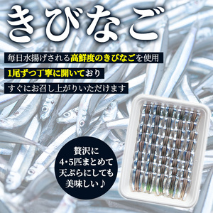 鹿児島県阿久根産！天然きびなごのお刺身(40尾×2パック)と鮮魚(1kg)セット 国産 九州産 鹿児島産 鮮魚 魚介 セット【濱崎魚類】akn023-03