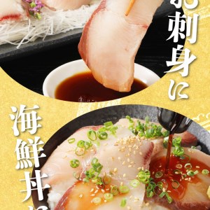 大和ブリの切り身　12ヶ月定期便 N072-YG0256