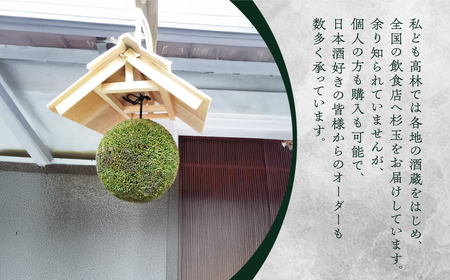 日本酒ライフに彩りを！杉玉直径40cm。自宅やお店のインテリアに。【67-2】杉玉 すぎだま 杉だま スギ