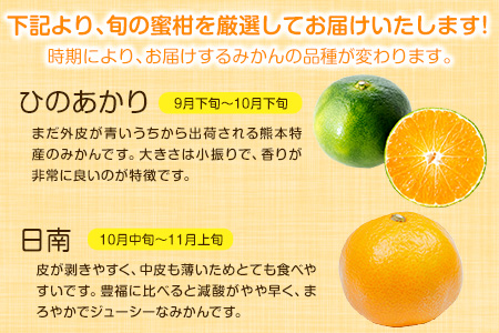 【先行予約】旬のみかん 5kg 《9月中旬-2月末頃出荷》みかん