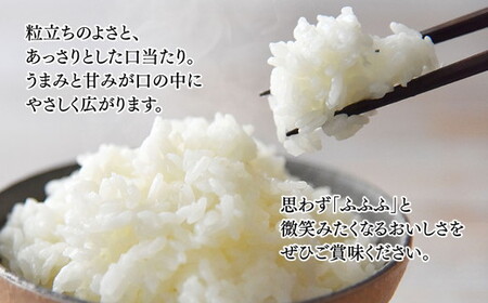 【令和7年度米】富山県産米「富富富」5kg（精米）｜富富富 ふふふ こめ コメ お米 おこめ 白米 精米 ブランド米 雪解け水 冷めても 美味しい おにぎり お弁当 高品質 魚津市 ※2025年10月上旬～2026年8月下旬頃に順次発送予定 ※北海道・沖縄・離島への配送不可