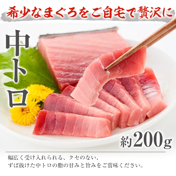 天然 南マグロ 味わいセット 南マグロ 中トロ約200g 赤身約200g 冷凍 食べ比べ【00-019-01】