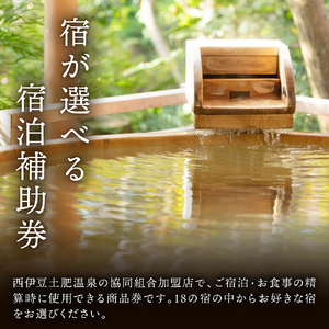 宿泊 静岡 伊豆 土肥 温泉 旅館 協同組合 3,000円分 商品券 1-012