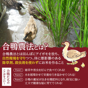 【令和6年度米】合鴨農法米 玄米 幻の米 農林48号2kg×2 [h048]