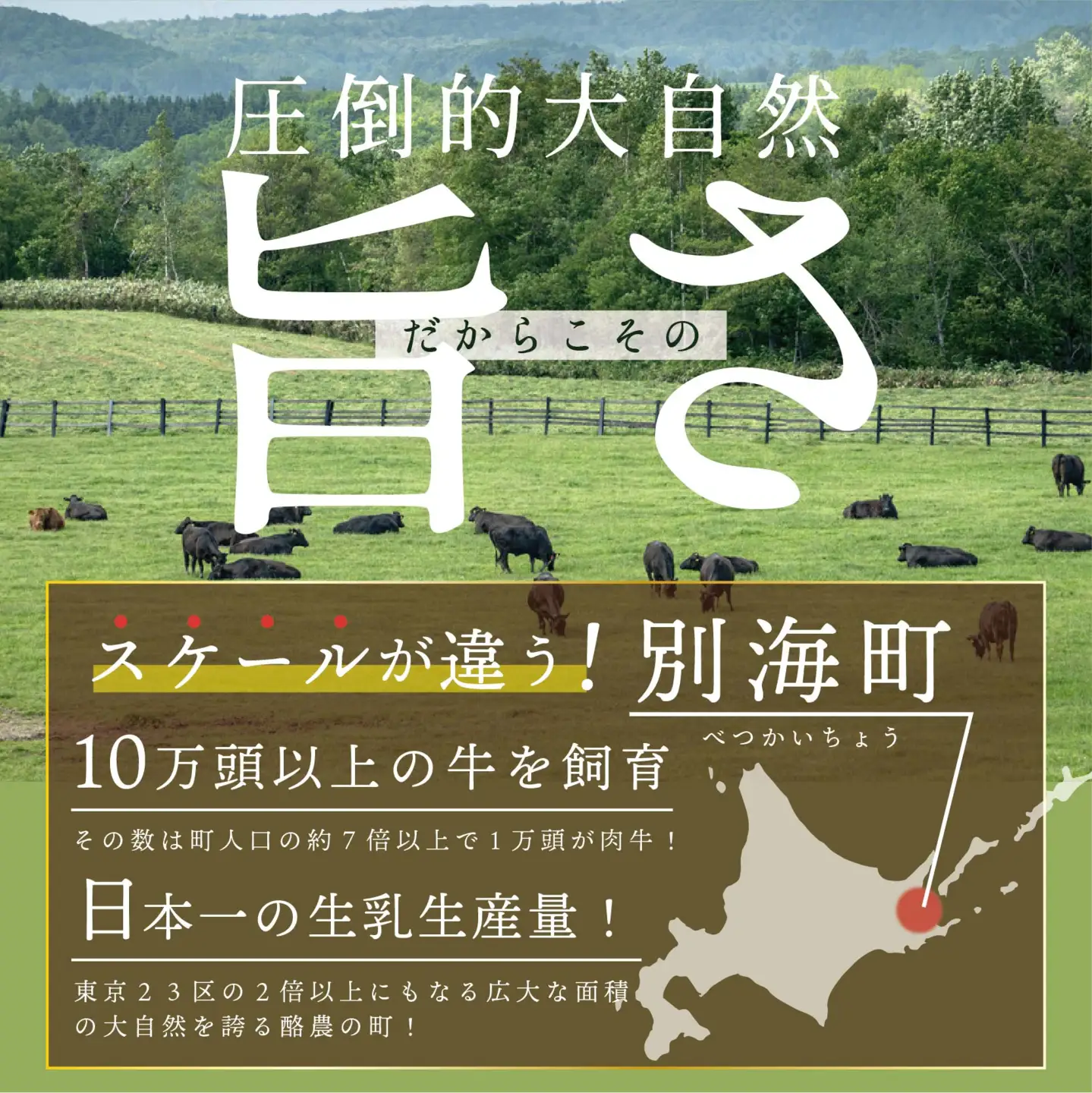 【定期便】黒毛和牛 サイコロステーキ用 計3㎏ 500g×6ヵ月【全6回】北海道 別海町 サイコロステーキ 