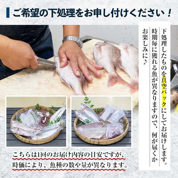 鮮魚詰合せ！ 朝どれの鮮魚を産地直送で！ 新鮮な海の幸(鮮魚)の詰合せ【00-024-01】