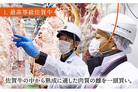 佐賀牛モモスライス500g しゃぶしゃぶ すき焼き  [FAY059]