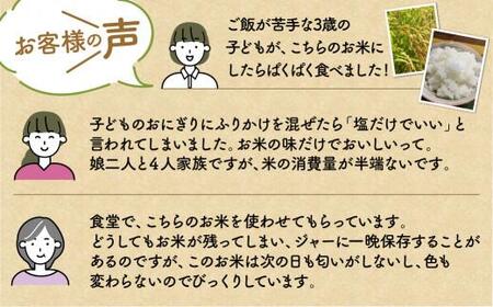 【令和7年産】 飛騨コシヒカリ 「飛騨の米」  白米（玄米対応可） 10kg | こしひかり 飛騨産 精米 白米 玄米お米 飛騨高山 ファームジネンいいむら GG011