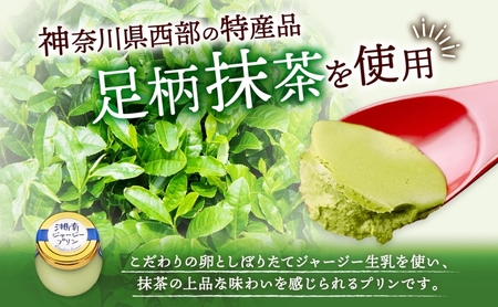 プリン 抹茶 5個 ジャージー乳 プリン