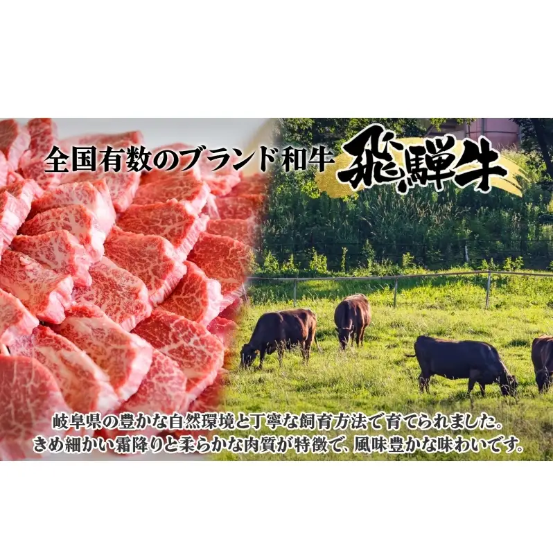 焼肉マルイ 飛騨牛 リブロースステーキ 1200g 和牛 国産 国産牛 牛 牛肉 リブロース 鉄板焼き ステーキ 冷蔵 冷蔵保存 日本産 ブランド和牛 A5ランク A4ランク お取り寄せグルメ 送料無料 岐阜県 安八町
