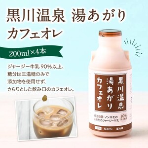 山吹色のジャージーヨーグルト よくばりセット 4種 ジャージー牛乳 飲むヨーグルト 牛乳 カフェオレ ヨーグルト プレーンヨーグルト 詰め合わせ アソート セット 乳製品 飲料 健康 腸活 免疫力アップ 乳酸菌 ご当地牛乳グランプリ 最高金賞 ご当地 ギフト 贈答用 山のいぶき 熊本 阿蘇 南小国町 送料無料