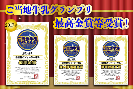 山吹色のジャージー牛乳セット 山吹色のジャージー牛乳 200ml 12本 ジャージー牛乳 牛乳 セット 乳製品 飲料 健康 腸活 免疫力アップ 乳酸菌 ご当地牛乳グランプリ 最高金賞 ご当地 ギフト 贈答用 山のいぶき 熊本 阿蘇 南小国町 送料無料