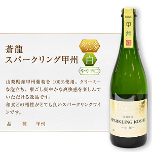 ワイン スパークリングワイン　マディルージュと甲州２本セット（MG）B2-666