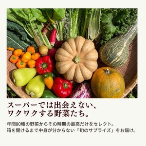 農薬化学肥料不使用 雲の上ガーデンのぴかぴか野菜セット（10回お届け）季節にあわせて10品目前後を毎月お届け【L003】季節 旬 詰め合わせ 採れたて 新鮮 産地直送 高知県産 冷蔵便 定期便