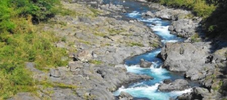 八百とどろ（どぶろく）