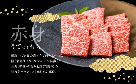 飛騨牛ロース・うでもも食べ比べセット(焼肉)　計500g 焼き肉 BBQ 国産牛 国産 牛肉 肉 厳選 熟成 贈答用［Q880］