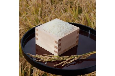 令和6年産 青森県 つがる市産米 青天の霹靂 5kg (精米) [0724]