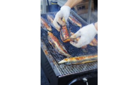 特選うなぎの蒲焼き ２尾 ≪ヤマシン≫ ※ 冷凍 ※ 