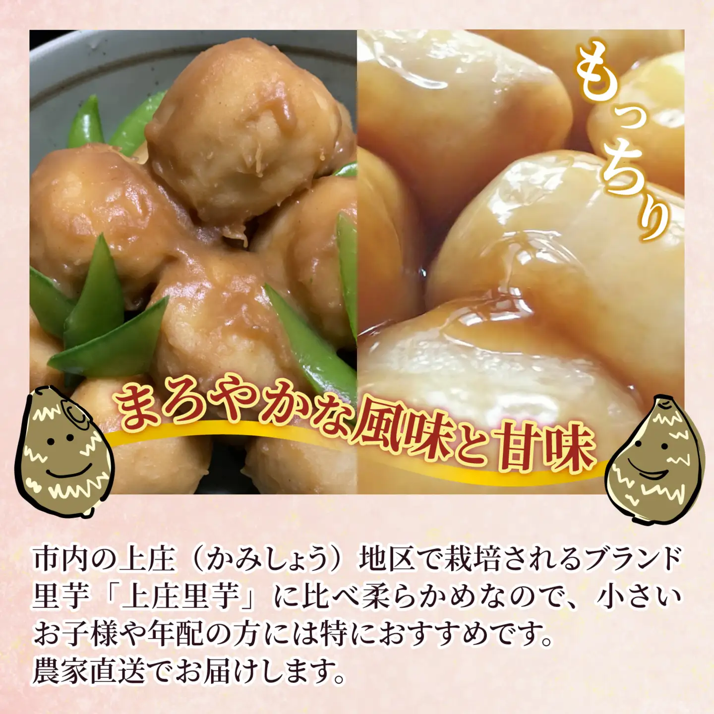 【先行予約】特別栽培 越前大野産 里芋 4.5kg 【11月上旬頃から順次発送】農家直送 さといも [A-008001]