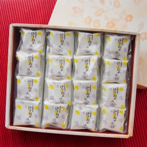 舞鶴銘菓 岸壁の母 16個 ： 京都 和菓子 餡子 あんこ あん 粒あん お茶菓子