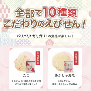 えびせん重箱 海原 えびせんパーク 煎餅 せんべい 海老せんべい たこせん たこせんべい いかせんべい 海老 いか たこ 姿焼き 詰め合わせ お菓子 おつまみ おやつ 美浜町 愛知県 特産品 おみやげ お歳暮 お中元