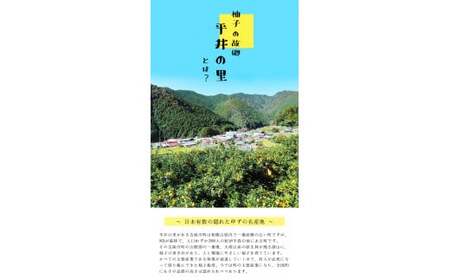 古座川町のゆずドリンク ストレートドリンク柚香ちゃん（10本入り）ゆず 柚子 柚 ユズ ジュース ドリンク【yuz101B】