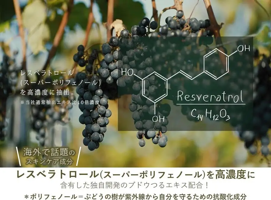 美容乳液 50ml オーガニック認証 エイジングケア 高濃度 レスベラトロール 天然由来100％ 無添加 敏感肌 目元 シワ 紫外線ケア 肌キメ シェアコスメ メンズ にも 約2か月分 