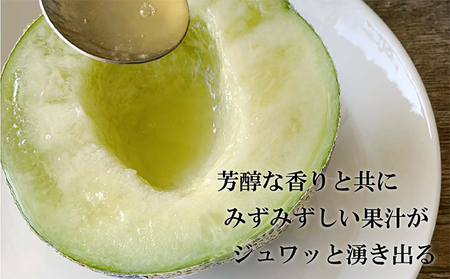 クラウンメロン【上（山等級）】中玉（1.3kg前後）1玉入り 人気 厳選 ギフト 贈り物 デザート グルメ 果物 袋井市 果物類 メロン青肉 フルーツ