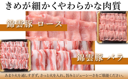 お米育ちの錦雲豚 しゃぶしゃぶギフト セット 合計600g（ロース300g・バラ300g） | お肉 肉 豚肉 錦雲豚 ブランド豚 しゃぶしゃぶ セット 九州産 大分県産 国産 冷凍 送料無料 大分県 中津市
