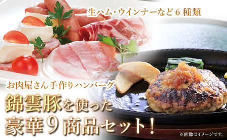 お米育ちの錦雲豚バラエティギフト ハム類・餃子・ハンバーグ・カレー セット | お肉 肉 おにく 豚肉 錦雲豚 ブランド豚 ハム 餃子 ハンバーグ カレー 詰め合わせ 惣菜 九州産 大分県産 国産 冷凍 大分県 中津市