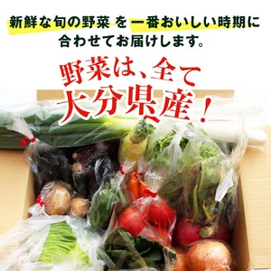 【JA直売所直送】春夏秋冬野菜セット | 野菜 やさい ヤサイ セット 旬 産地直送 大分県産 10～15品 国産野菜 大分県 中津市