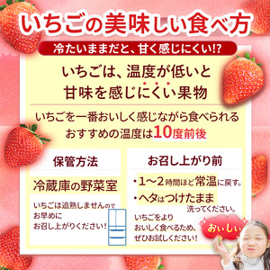 【先行予約】大分県ブランド いちご ベリーツ 約 800g ( 200g×4パック ) | 苺 イチゴ いちご ベリー フルーツ 果物 くだもの 大分県産 産地直送 九州産 国産 大分県 中津市