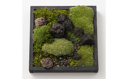 苔箱庭制作キット FZ21-465