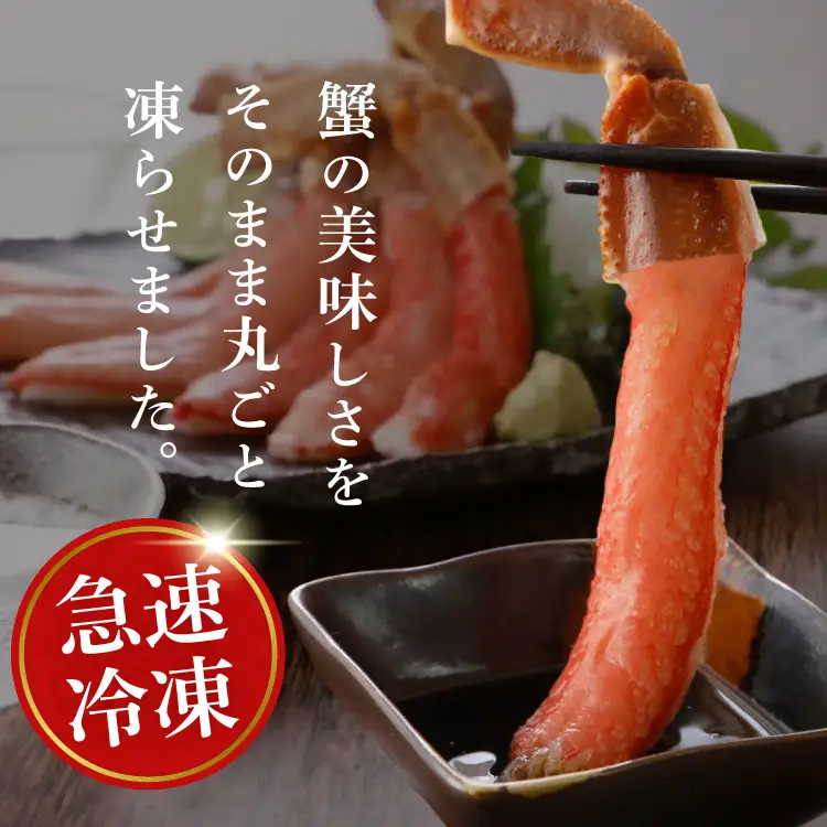 かに 極太 生本ずわいがに 約500g カニ 蟹 [宮城県 気仙沼市 20564334]