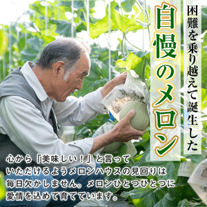【0472212b】＜定期便・全2回(2月・4月)＞まるまる育ったマスクメロン(2玉×2回・計6.6kg以上) マスクメロン フルーツ 果物 果実 6キロ 数量限定 期間限定【まる美園芸組合】