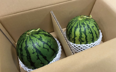 【2026年6～7月出荷】【JAむなかた直送】小玉スイカ（赤・黄）2玉（計4～5kg）[H2272]
