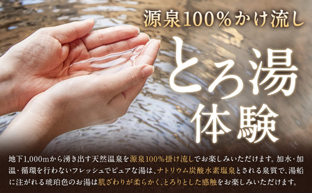 白金温泉 黄金の湯 入浴券 10枚 株式会社白金の森《30日以内に出荷予定(土日祝除く)》熊本県 菊池市 チケット 温泉 天然温泉 旅行 送料無料