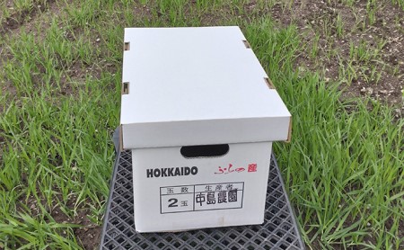 【2026年7月～発送】北海道 富良野市 ふらの赤肉 メロン 2玉 計 約4kg (中島農園) メロン フルーツ 果物 新鮮 甘い 贈り物 ギフト 道産 ジューシー おやつ ふらの ブランド 夏 